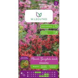 Monarda, Pysznogłówka dwoista mieszanka 0.10g - Nasiona - W. Legutko