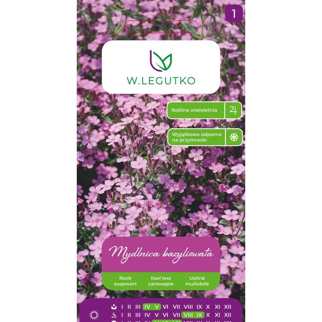 Mydlnica bazyliowata różowa 0.50g - Nasiona - W. Legutko