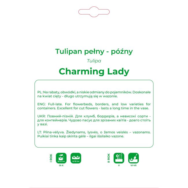 Tulipan Charming Lady pełny kremowo - żółty 4 szt. - Cebule i Kłącza - W. Legutko