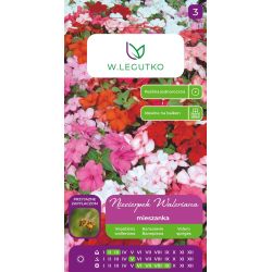 Niecierpek Waleriana F2 Mixed mieszanka 0.10g - Nasiona - W. Legutko