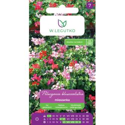 Pelargonia bluszczolistna Speedy F2 mieszanka 10nas. - Nasiona - W. Legutko