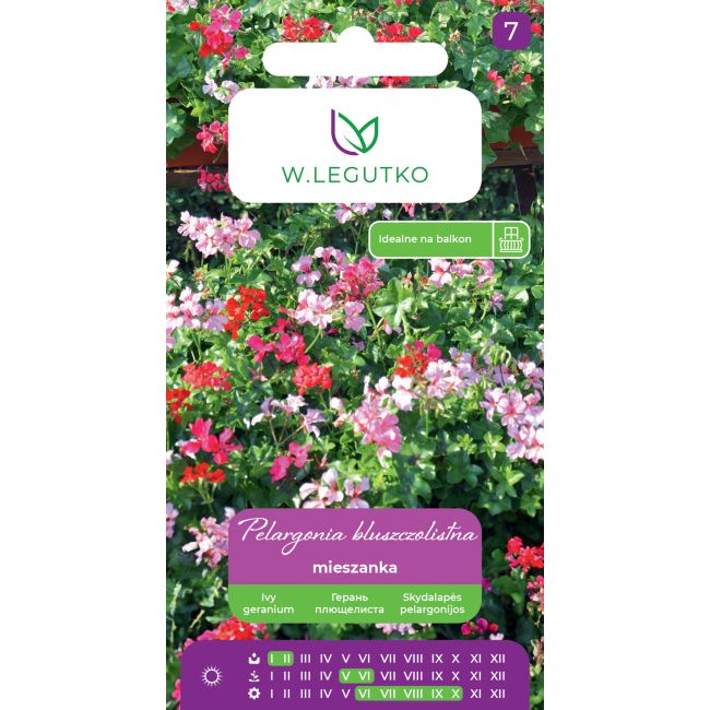 Pelargonia bluszczolistna Speedy F2 mieszanka 10nas. - Nasiona - W. Legutko