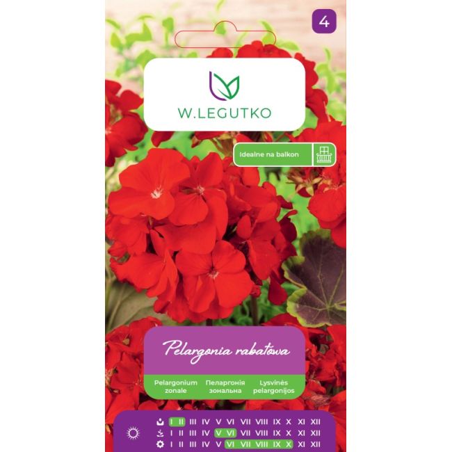 Pelargonia rabatowa Gama F1 czerwona 0.05g - Nasiona - W. Legutko