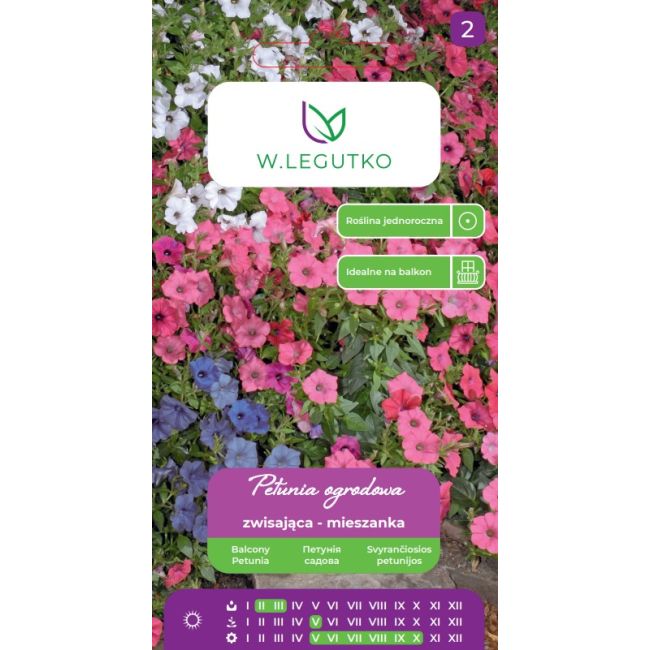Petunia ogrodowa o pędach zwisających mieszanka balkonowa 0.10g - Nasiona - W. Legutko