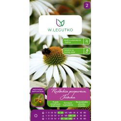 Rudbekia purpurowa, Jeżówka biała 0.50g - Nasiona - W. Legutko