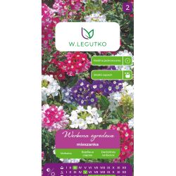 Werbena ogrodowa mieszanka 0.50g - Nasiona - W. Legutko