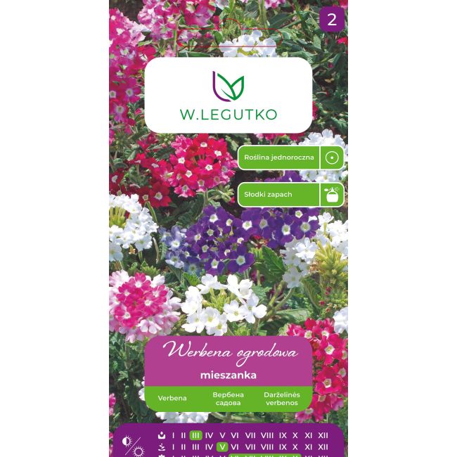 Werbena ogrodowa mieszanka 0.50g - Nasiona - W. Legutko