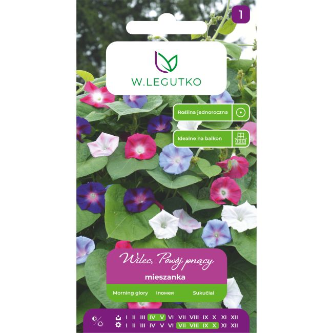 Wilec, Powój pnący mieszanka 5g - Nasiona - W. Legutko