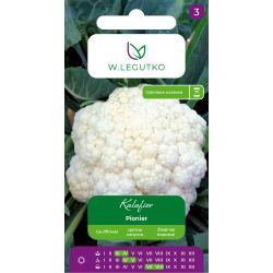 Kalafior Pionier 1g - Nasiona - W. Legutko