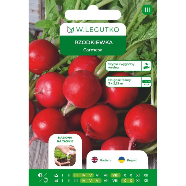 Rzodkiewka Carmesa 7m taśma - Nasiona - W. Legutko