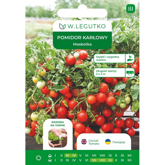 Pomidor Maskotka 6m taśma - Nasiona - W. Legutko