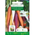 Marchew mieszanka odmian 7m taśma - Nasiona - W. Legutko