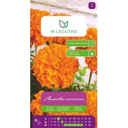 Aksamitka wzniesiona pomarańczowa 1g - Nasiona - W. Legutko