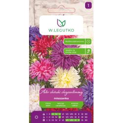 Aster chiński chryzantem. mieszanka 1.25g - Nasiona - W. Legutko