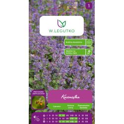 Kocimiętka niebieskofioletowe 0.20g - Nasiona - W. Legutko