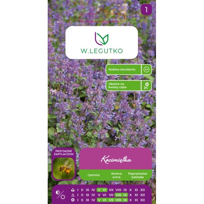 Kocimiętka niebieskofioletowe 0.20g - Nasiona - W. Legutko