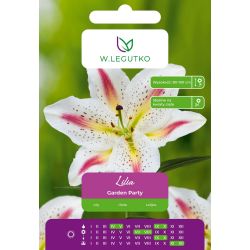 Lilia Garden Party żółto-biała 1szt. - Cebule i Kłącza - W. Legutko