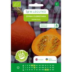 Dynia olbrzymia BIO Uchiki Kuri 2g - Nasiona - W. Legutko
