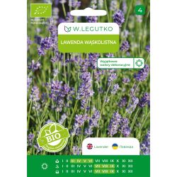 Lawenda wąskolistna BIO 0.20g - Nasiona - W. Legutko