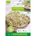 Nasiona na kiełki BIO lucerna 20g - Nasiona - W. Legutko