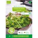 Nasiona na kiełki BIO słonecznik 40g - Nasiona - W. Legutko