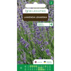 Lawenda lekarska 0.20g - Nasiona - W. Legutko