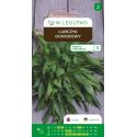 Lubczyk ogrodowy 0.50g - Nasiona - W. Legutko