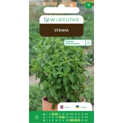 Stewia 0.01g - Nasiona - W. Legutko