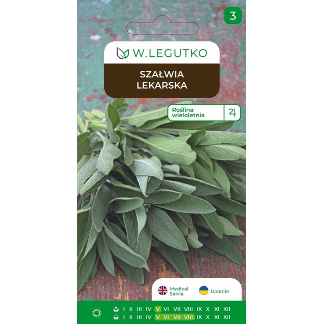 Szałwia lekarska 1g - Nasiona - W. Legutko