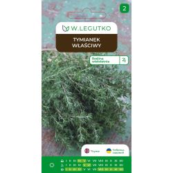 Tymianek właściwy 0.30g - Nasiona - W. Legutko