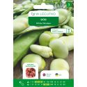 Bób White Windsor 50g nasiona zaprawiane - Nasiona - W. Legutko