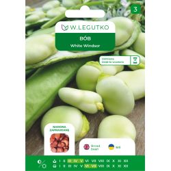 Bób White Windsor 50g nasiona zaprawiane - Nasiona - W. Legutko