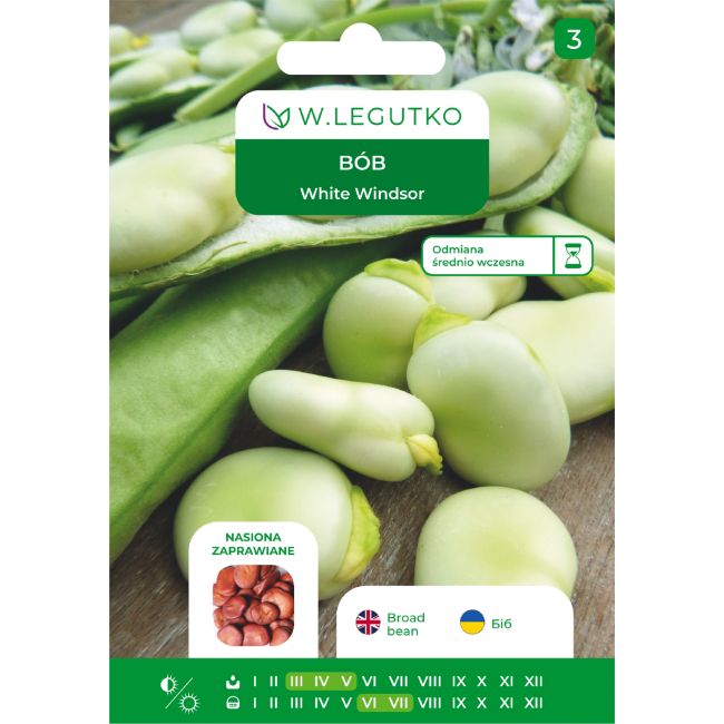 Bób White Windsor 50g nasiona zaprawiane - Nasiona - W. Legutko