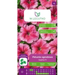 Petunia ogrodowa Sophia F1 różowa 10szt. - Nasiona - W. Legutko