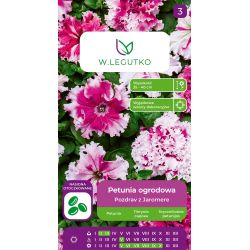 Petunia ogrodowa Pozdrav z Jaromere mieszanka 10szt. - Nasiona - W. Legutko