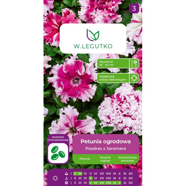 Petunia ogrodowa Pozdrav z Jaromere mieszanka 10szt. - Nasiona - W. Legutko