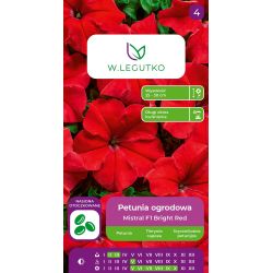 Petunia ogrodowa Mistral F1 Bright Red czerwona 10szt. - Nasiona - W. Legutko