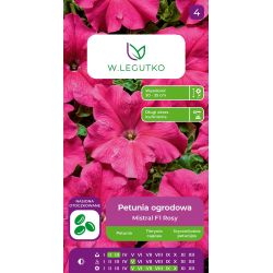Petunia ogrodowa Mistral F1 Rosy różowa 10szt. - Nasiona - W. Legutko