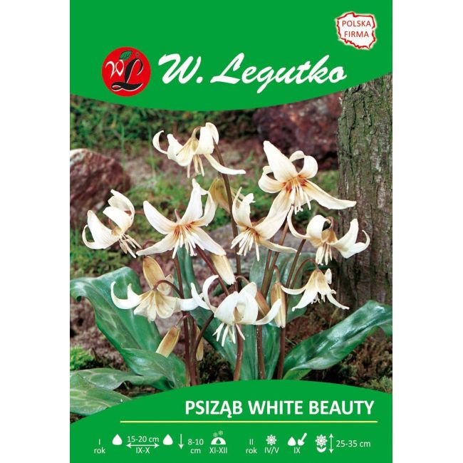 Psiząb - White Beauty - Cebule i Kłącza - W. Legutko