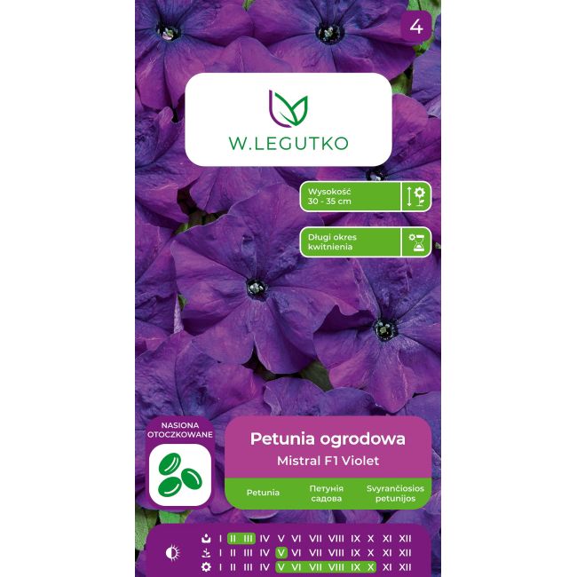 Petunia ogrodowa Mistral F1 Violet fioletowa 10szt. - Nasiona - W. Legutko