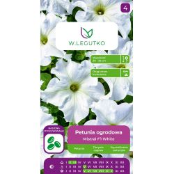 Petunia ogrodowa Mistral F1 White biała 10szt. - Nasiona - W. Legutko
