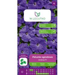 Petunia ogrodowa Andrea F1 fioletowa 10szt. - Nasiona - W. Legutko