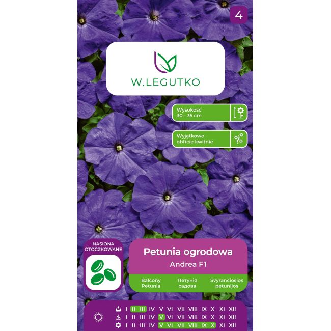 Petunia ogrodowa Andrea F1 fioletowa 10szt. - Nasiona - W. Legutko