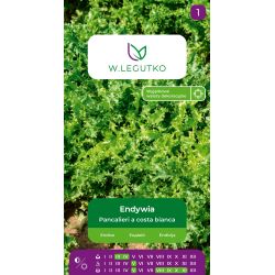 Endywia Pancalieri a costa bianca zielona 1.50g - Nasiona - W. Legutko