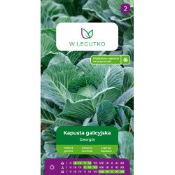 Kapusta galicyjska Georgia 0.50g - Nasiona - W. Legutko