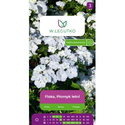 Floks, Płomyk letni biała 0.50g - Nasiona - W. Legutko