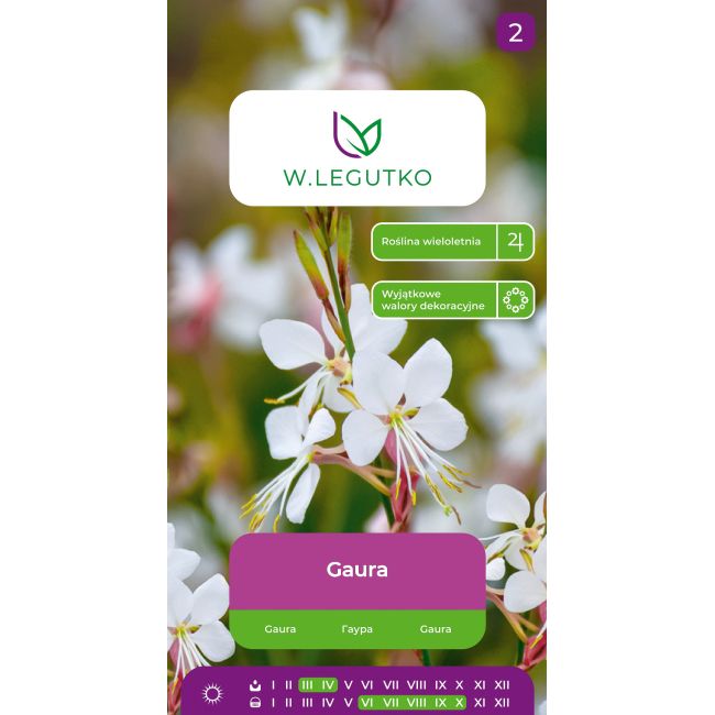 Gaura biała 0.50g - Główna - W. Legutko