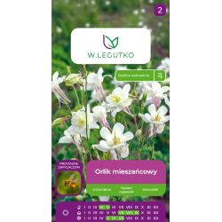 Orlik mieszańcowy białe 0.50g - Nasiona - W. Legutko
