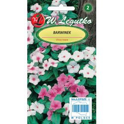 Barwinek różowy mieszanka 0.20g - Nasiona - W. Legutko Barwinek różowy mieszanka 0.20g - Nasiona - W. Legutko