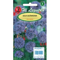 Gilia główkowa niebieska 0.50g - Nasiona - W. Legutko